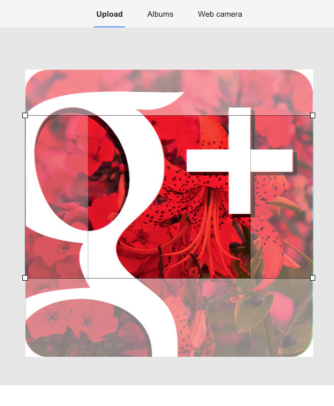 googleplus helper google and your photos google plus profile picture size