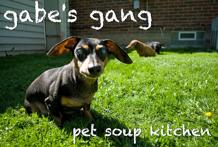 Gabe's Gang Pet Soup Kitchen