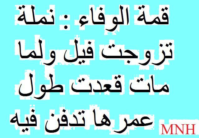 تنويع كـكككككـ %25D8%25B5%25D9%2588%25D8%25B1+%25D9%2585%25D8%25B6%25D8%25AD%25D9%2583%25D8%25A9+%25D8%25B5%25D9%2588%25D8%25B1+%25D9%2581%25D9%258A%25D8%25B3+%25D8%25A8%25D9%2588%25D9%2583+%25D8%25B5%25D9%2588%25D8%25B1+%25D9%2585%25D8%25AA%25D9%2586%25D9%2588%25D8%25B9%25D8%25A9