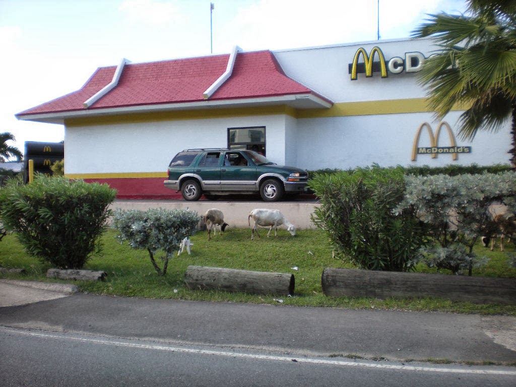 Life In the Virgin Islands Life on the Rock! Grocery Shopping in St