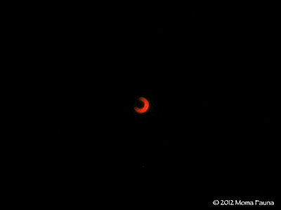 Annular Solar Eclipse 2012 with filter