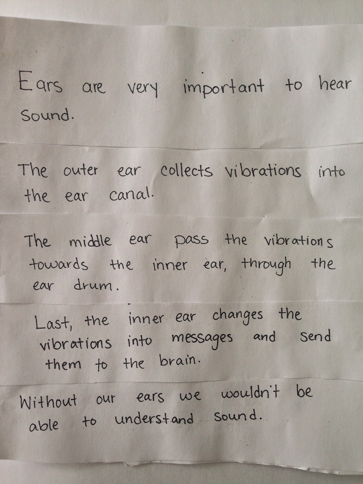 Our Class Blog Back In The Swing