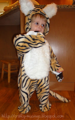 tiger costume, front view