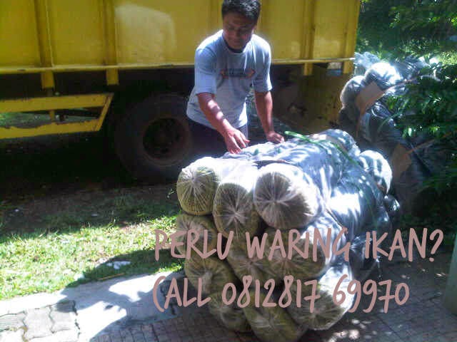 persediaan stock waring ikan di jakarta persediaan stock waring ikan di jakarta