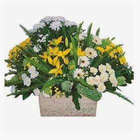 Italy Flowers Delivery Italy Flowers Delivery and Price