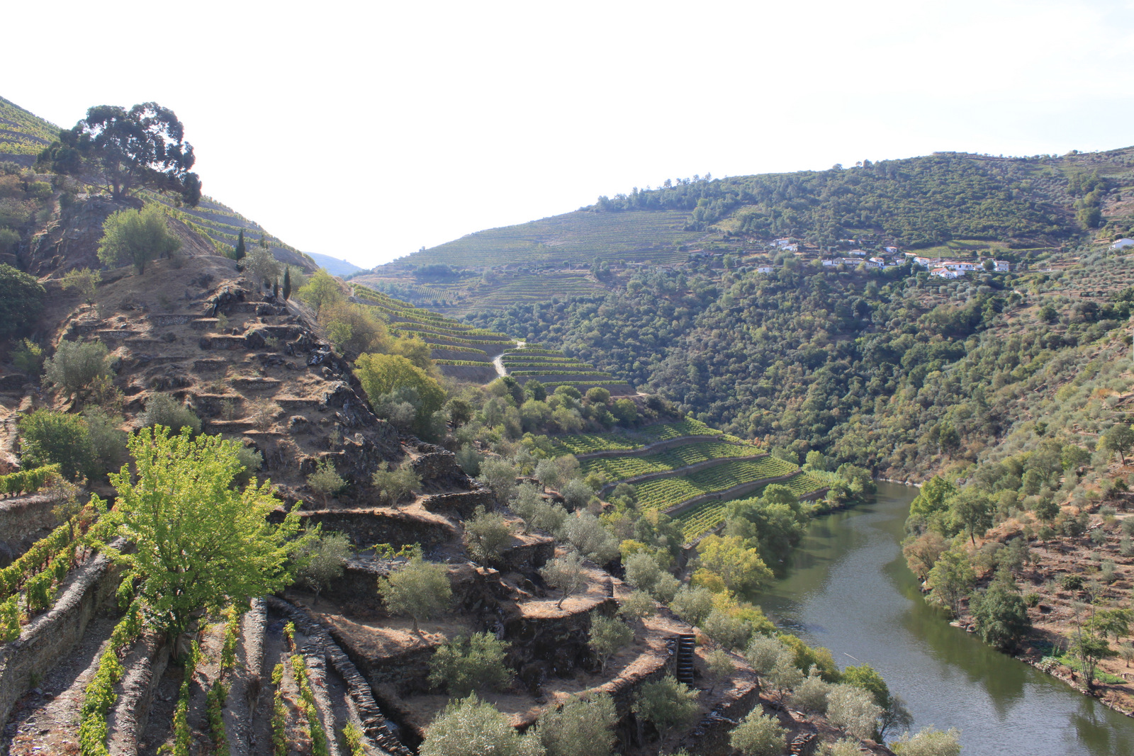 Vallée du Douro