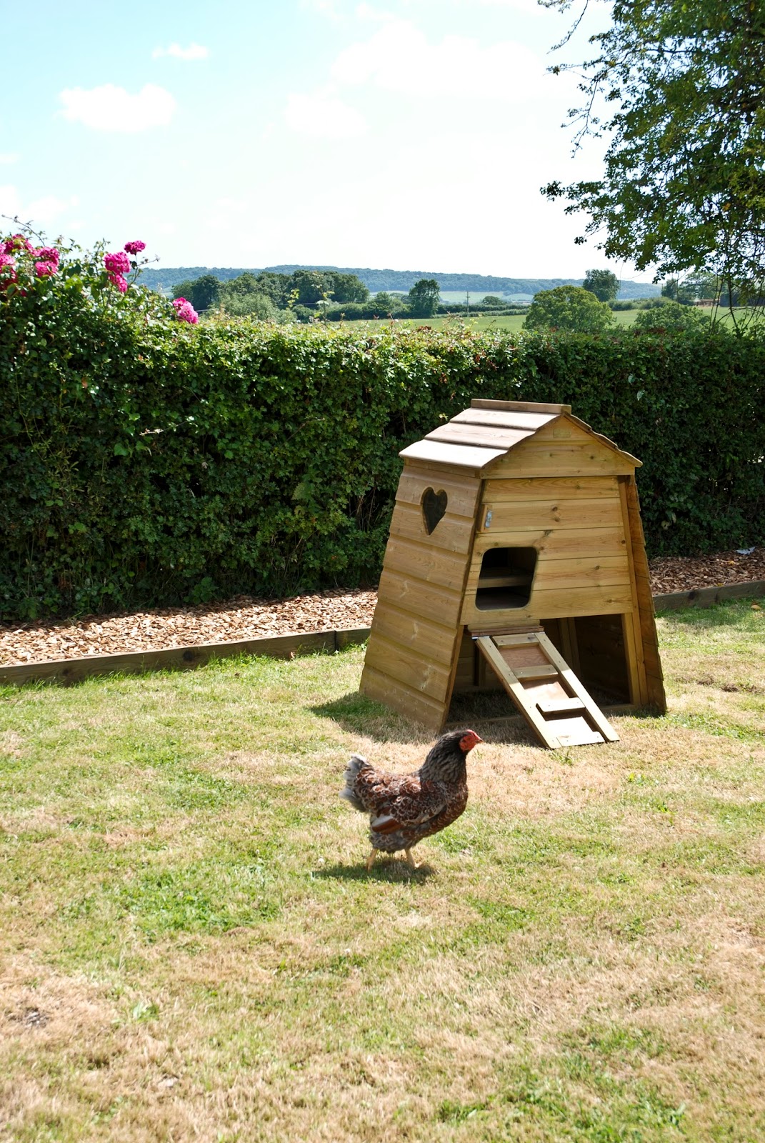 Flyte So Fancy The Annie's Coop