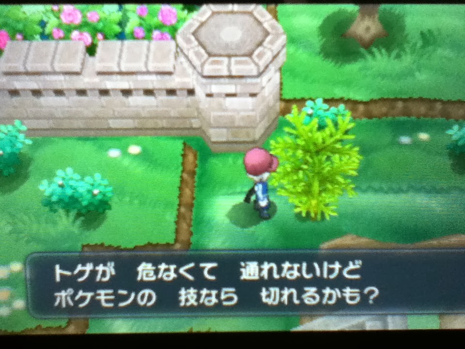 僕のゲーム秘密基地 ぶらりカロス旅 ポケモンxy