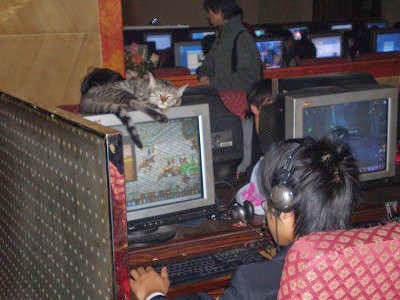 cyber café