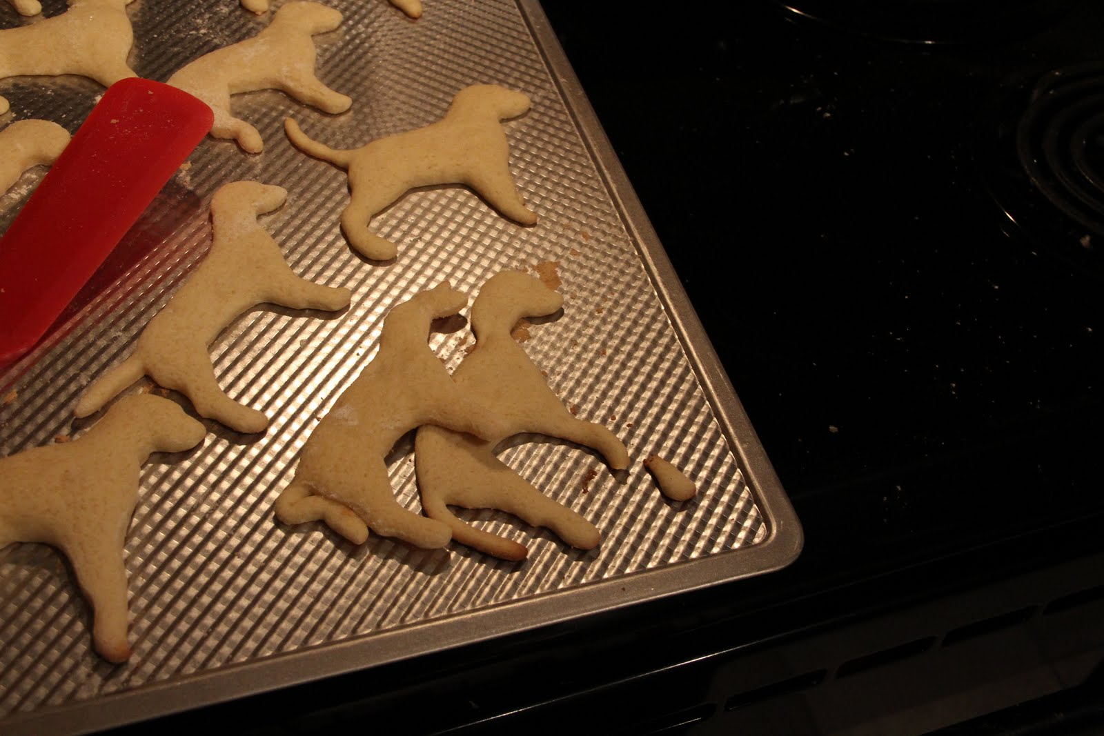 Llama Cookie Cutter