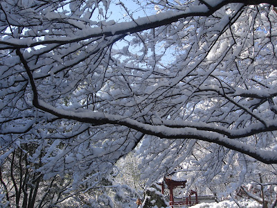 Blue's Clues: March 2011