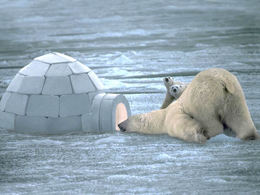 Igloo+and+Polar+Bear.jpeg