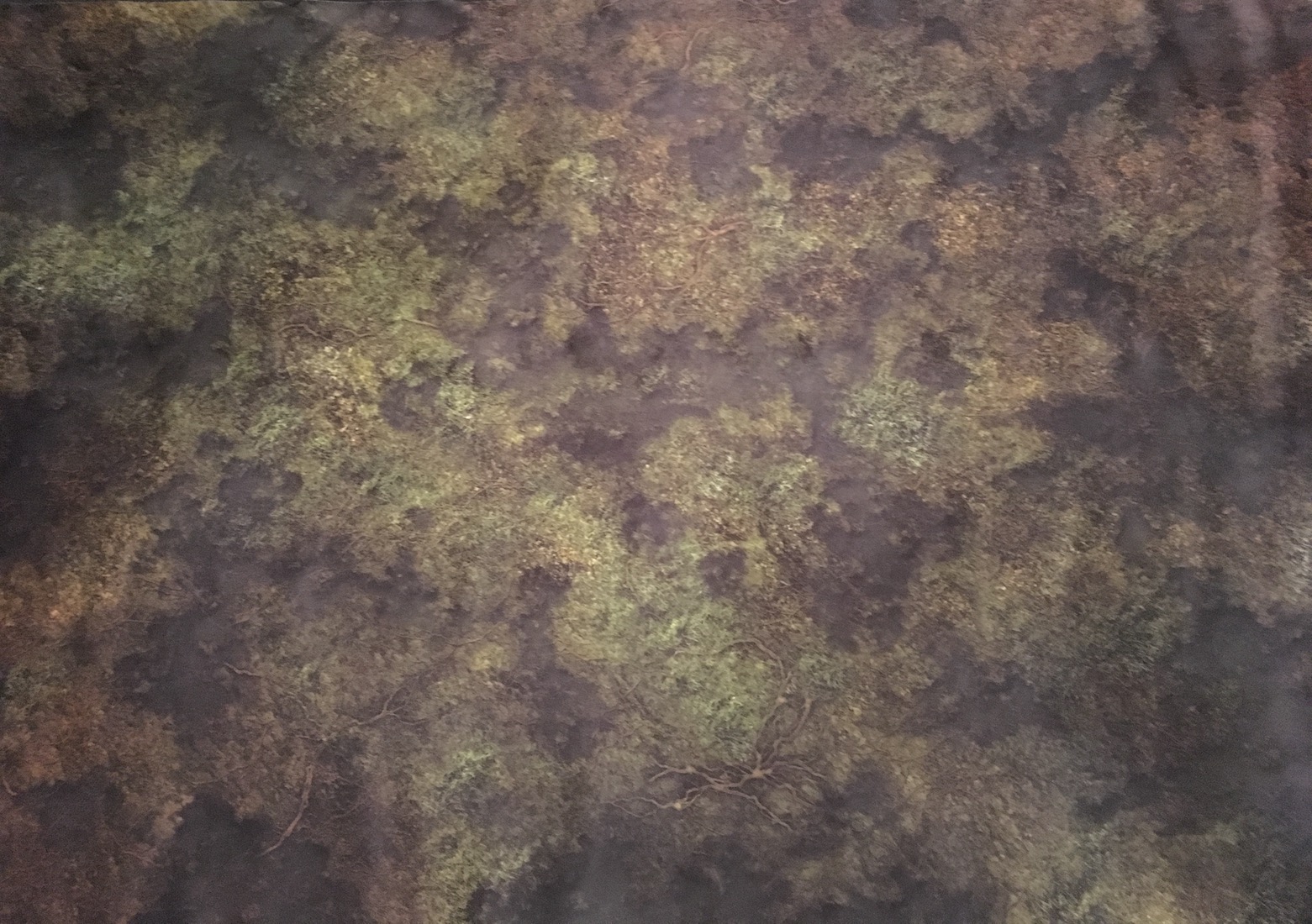 Warpstone Flux Swamp Game Mat