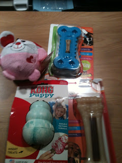 A picture of the toys I have for my puppy.
