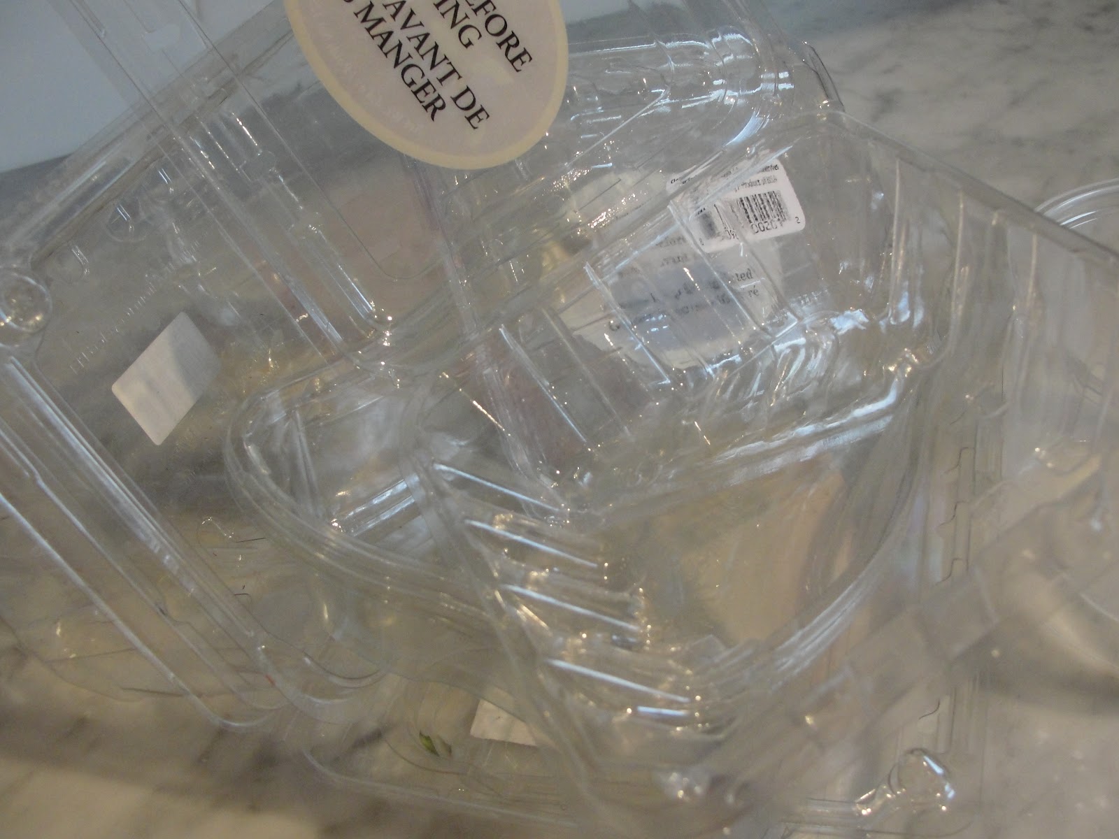 Green Life berry container monsters