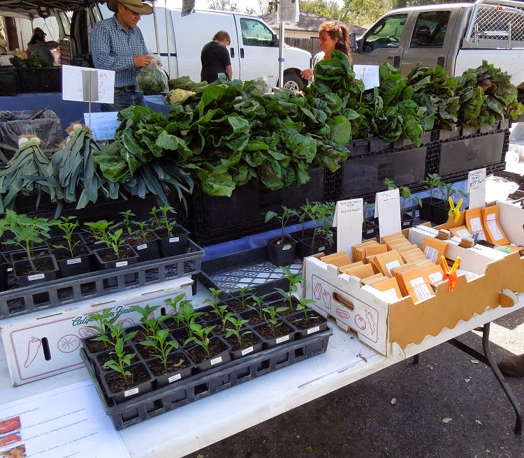 Paso Robles in Photos Templeton Farmers Market March 21