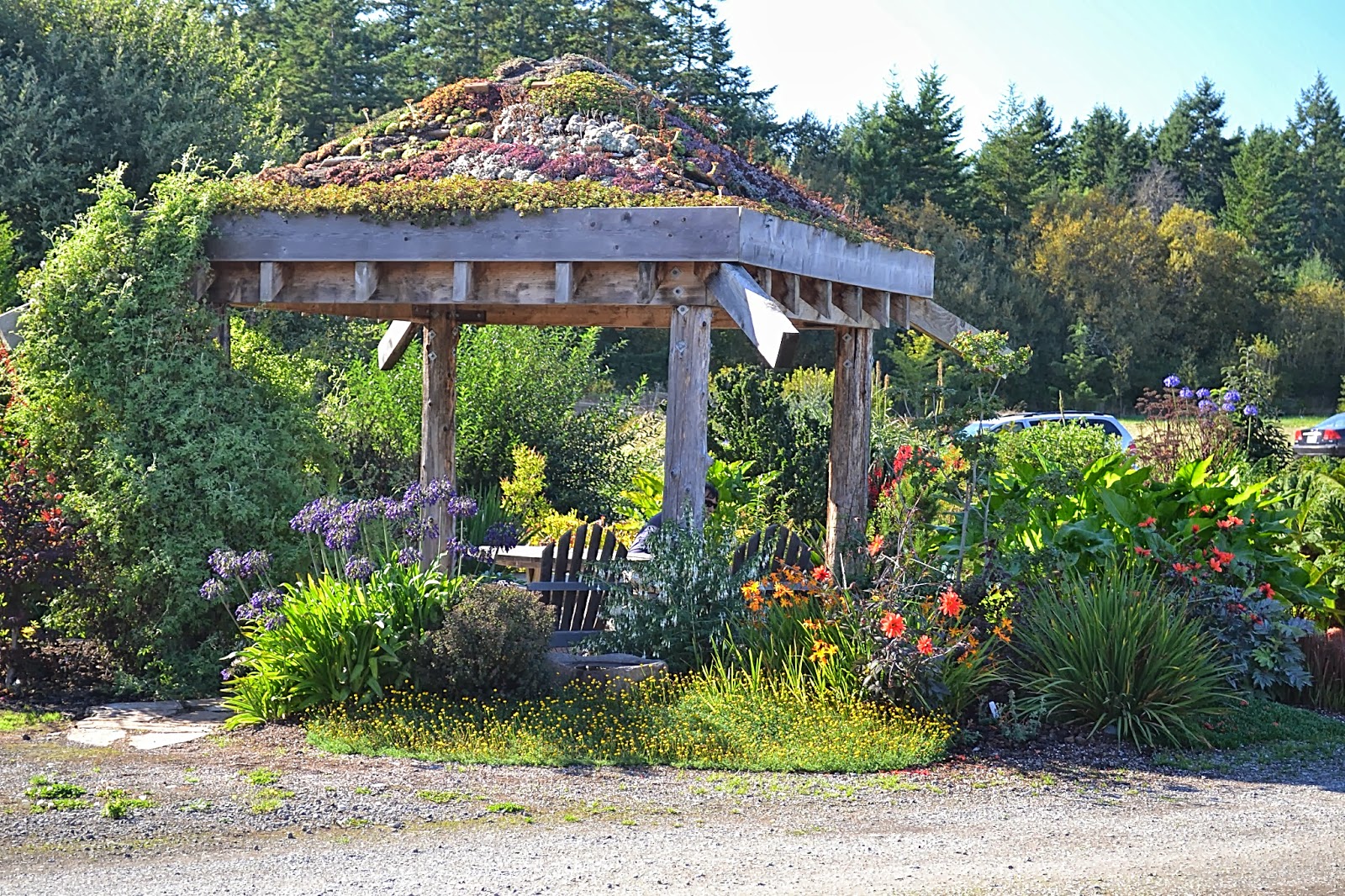 The Outlaw Gardener Meanwhile Back On The Kisap Peninsula The