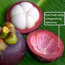 Manfaat Buah Manggis untuk Obat Diabetes Manfaat Buah Manggis untuk Obat Diabetes
