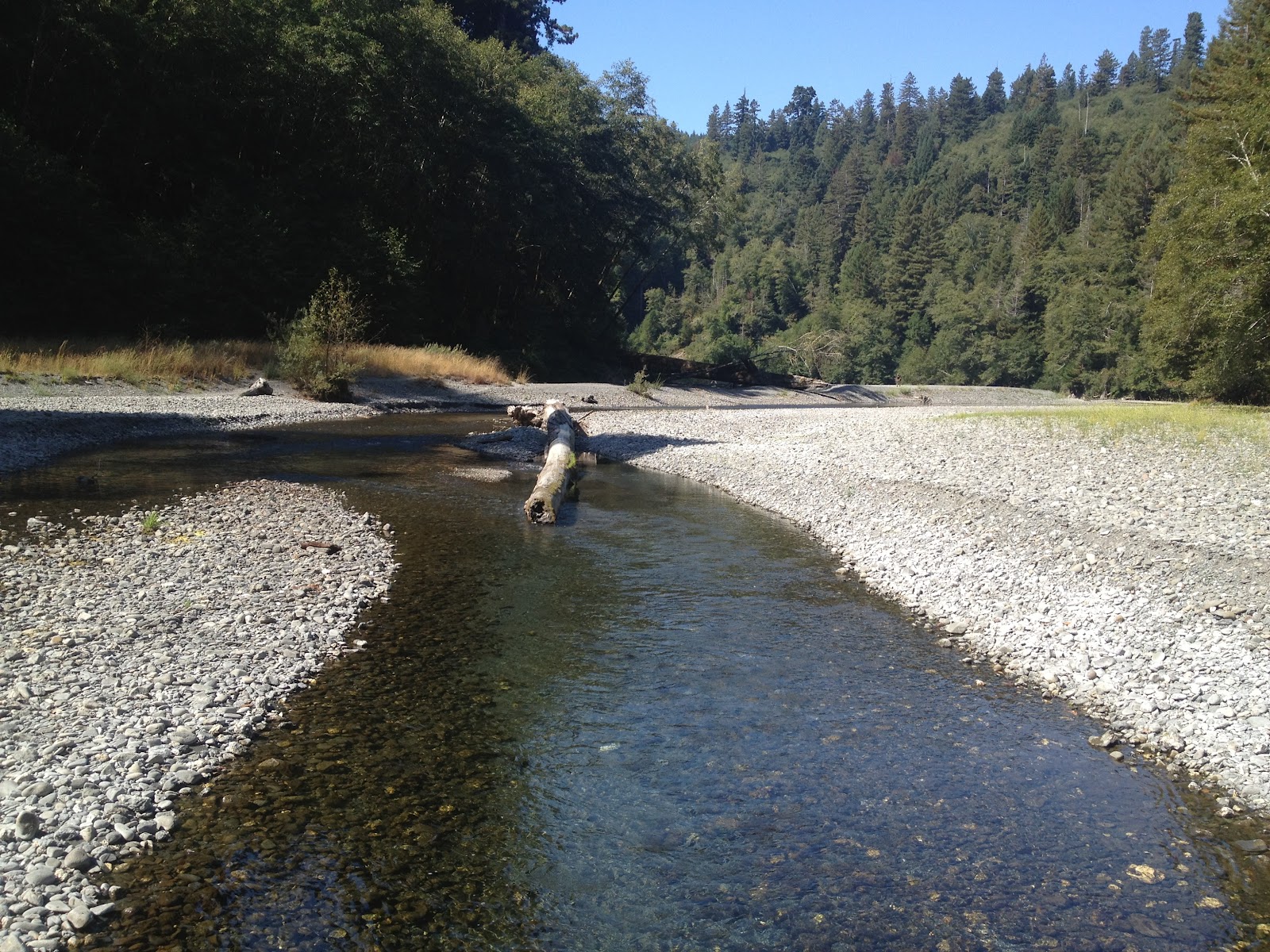 Redwood Creek to Tall Trees Grove Backpacking Redwood National Park