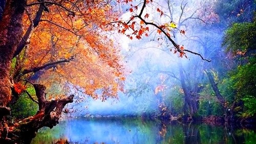 Foggy autumn Foggy autumn