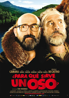 ¿Para Qué Sirve un Oso?