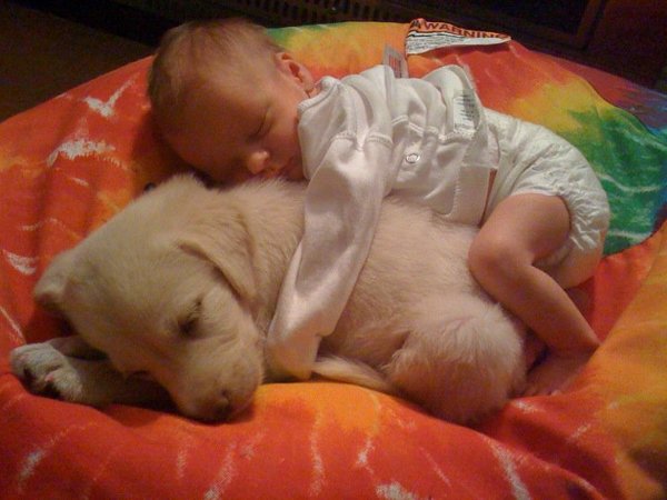 puppy and baby sleeping april 2012 puppy and baby sleeping april 2012