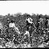 Multinational Corporations Their Wealth Originated From (Africa) Slave Trade