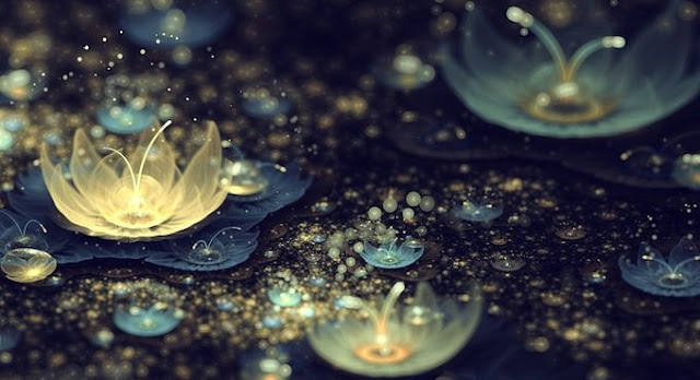 Fractal Flowers by Silvia Cordedda on DeviantArt | Kevin O'Brien's Art Blog