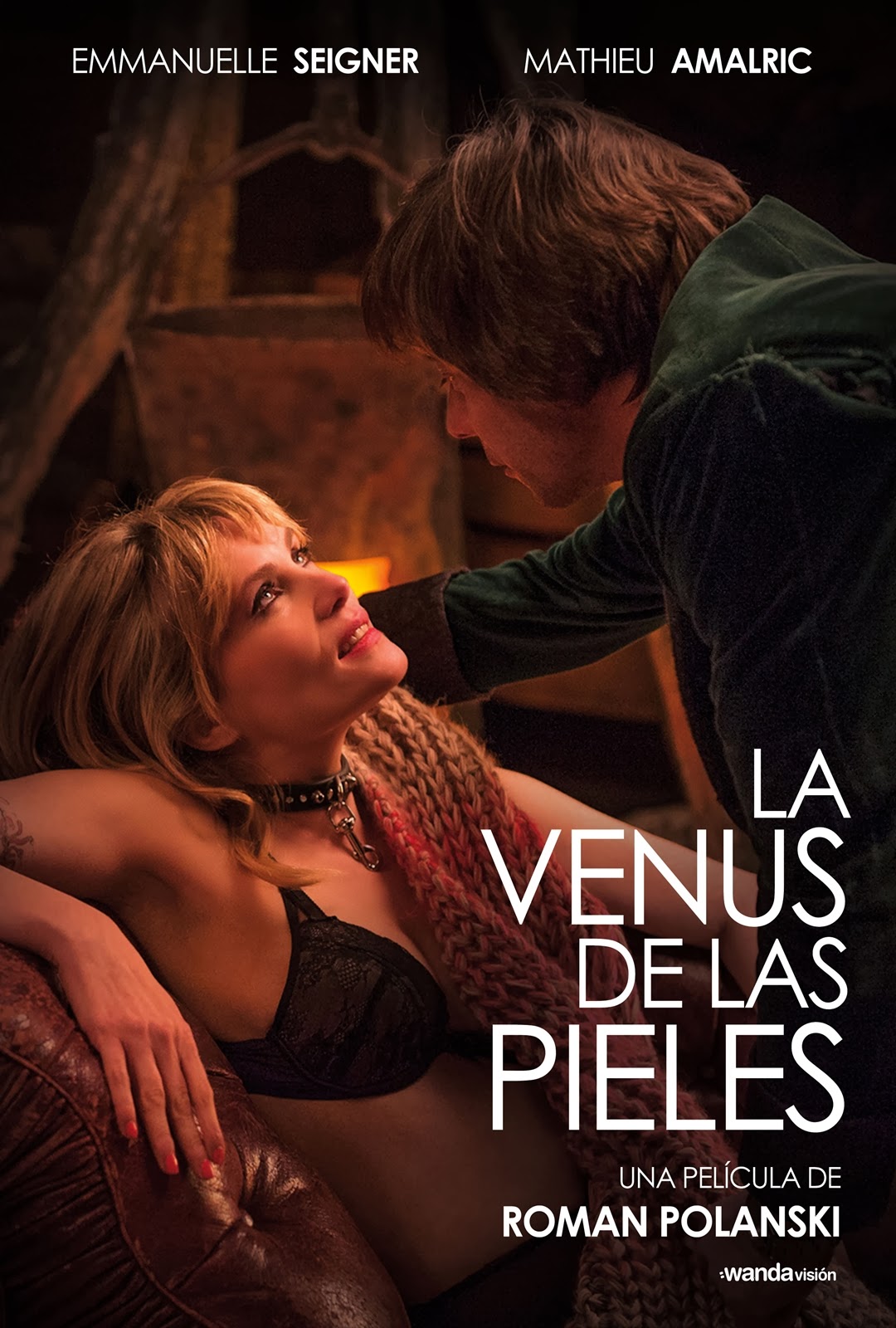 La Venus De Las Pieles (2013)