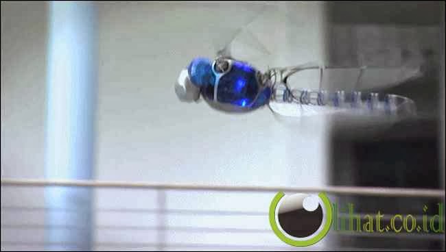 BionicOpter BionicOpter