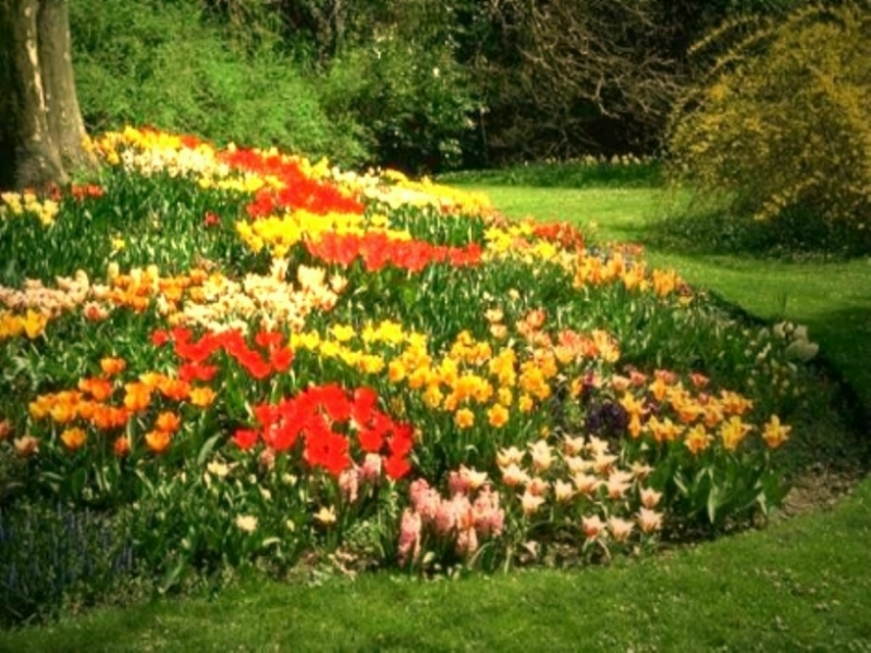 �i�ek Resimleri (6. Katalog)