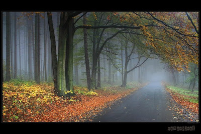 http://4.bp.blogspot.com/-Aen97wbId5k/T6lCmqBh1cI/AAAAAAAAml8/oh-2ZZ2ArwE/s1600/phong_canh42_vanluong.blogspot.com.jpg