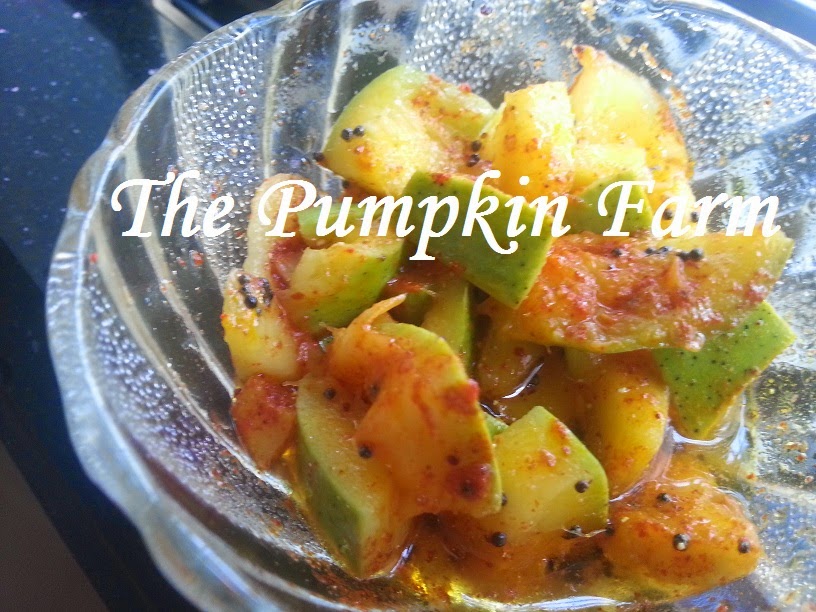 Dosage Of Pumpkin To Add To Dog S Meal Colitis Dosage Of Pumpkin To Add To Dog S Meal Colitis