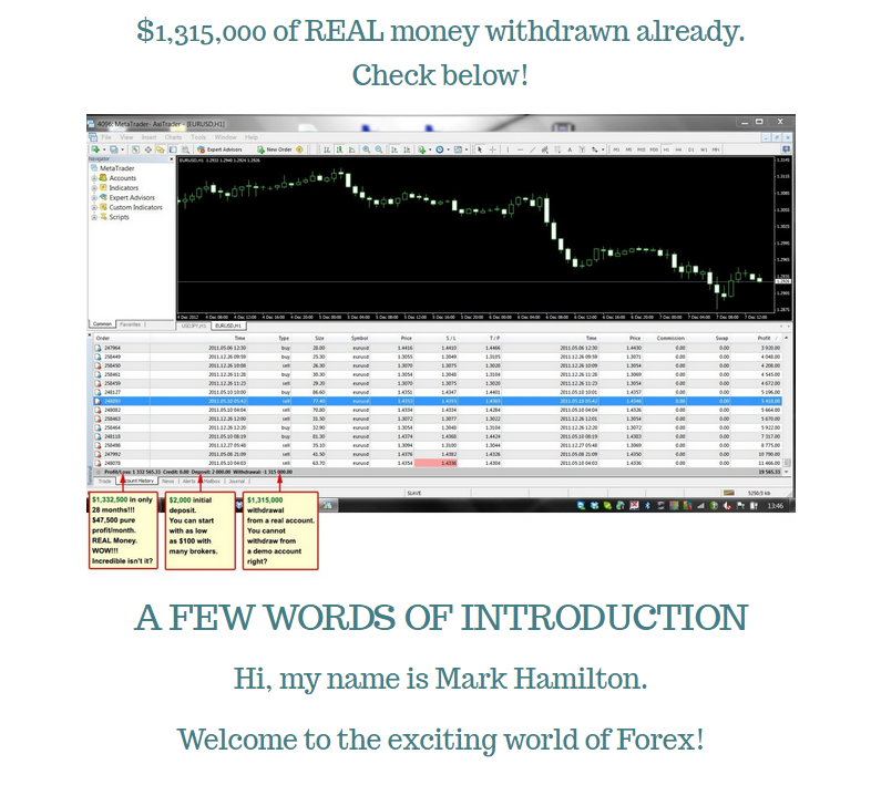 Forex mt5 forum