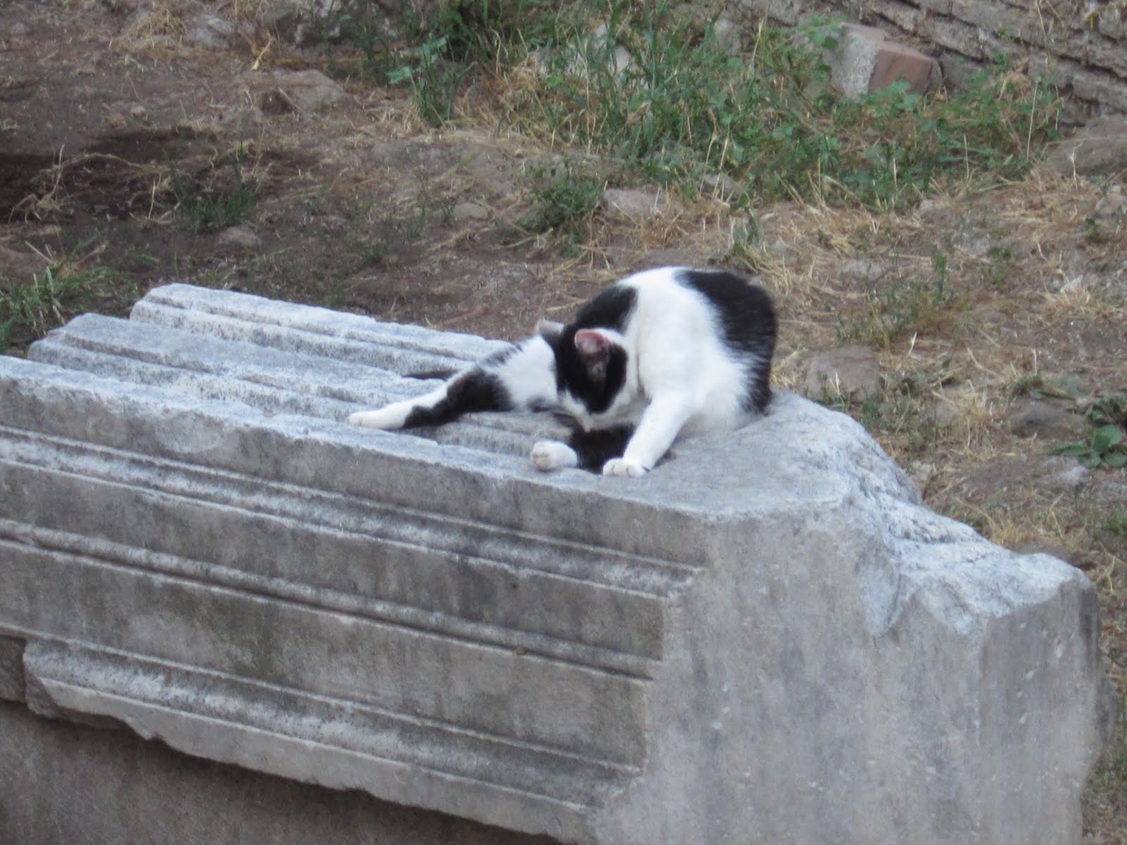 What a life, lounging around on ancient ruins!