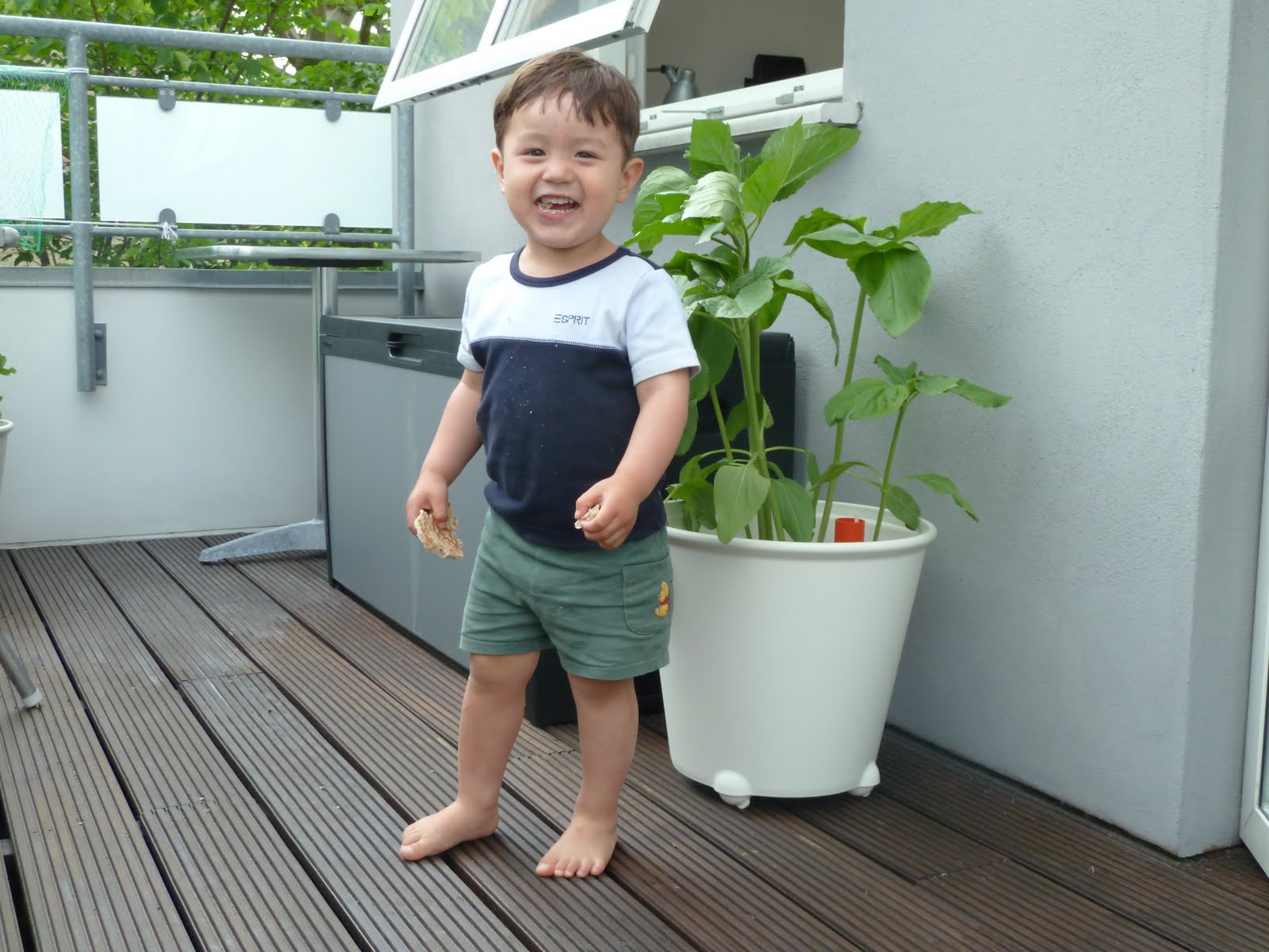 Family FECS Montessori Activity Growing Sunflowers/Dyrke Solsikker/种植向日葵