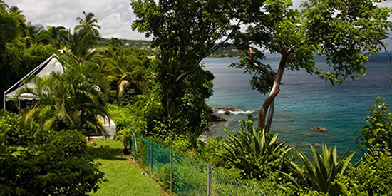 The view of the green-blue-sea The view of the green-blue-sea