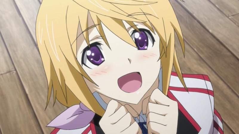 Gamer--freakz: The ultimate harem (Infinite Stratos review)