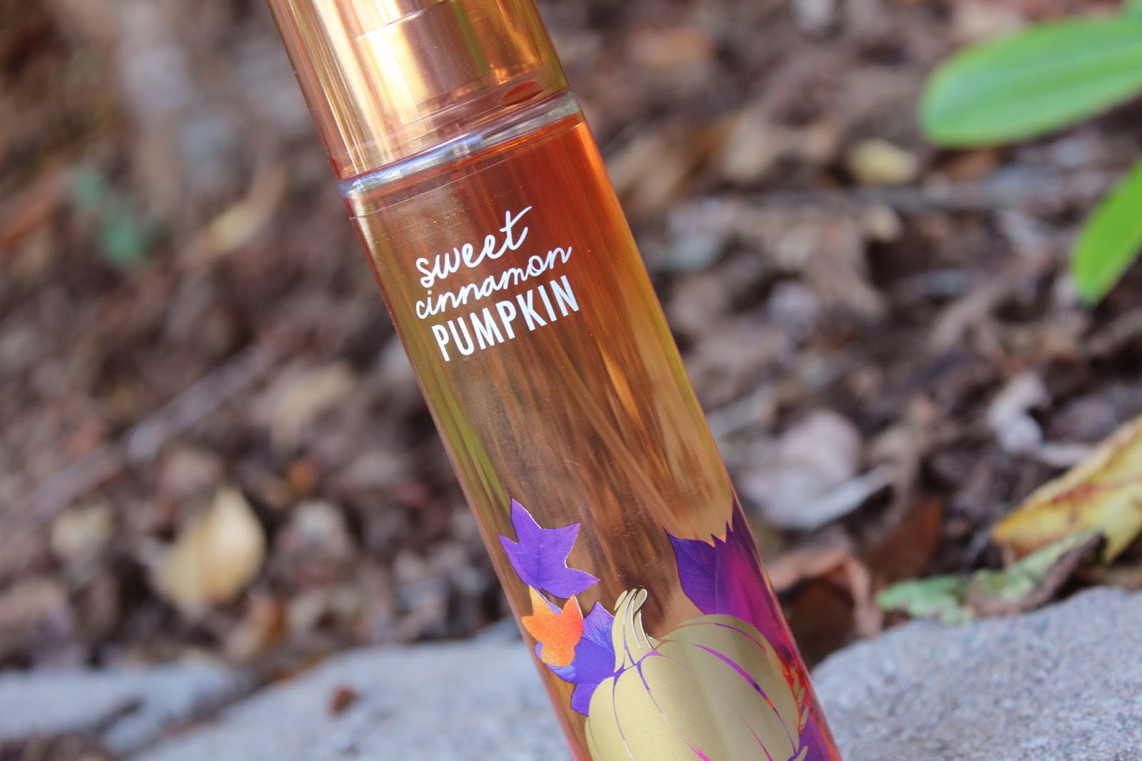 sweet cinnamon pumpkin review