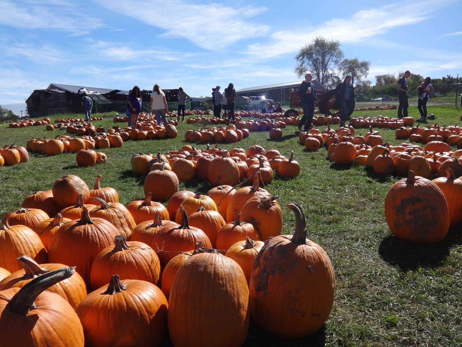 In Between Days DAYTRIPPING Apple Picking in Upstate New York