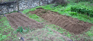 Clearing the old beds Clearing the old beds