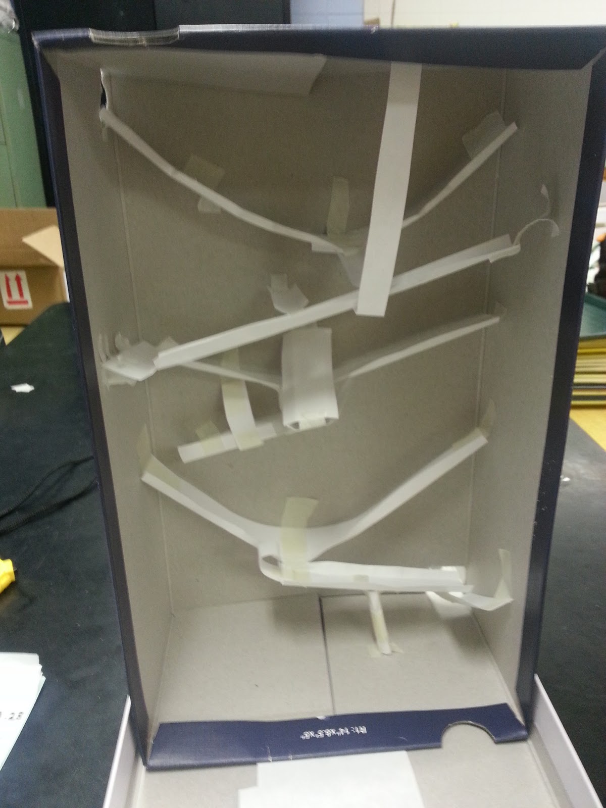 Schneider Science Slow Marble Project