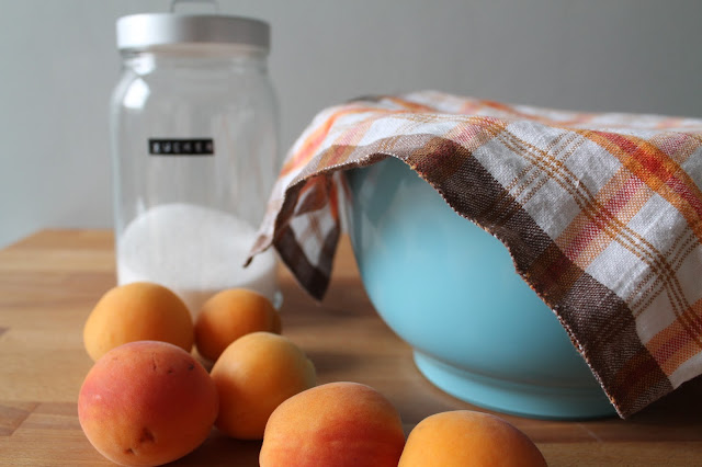 münchnerküche: Aprikosen Schichtkuchen