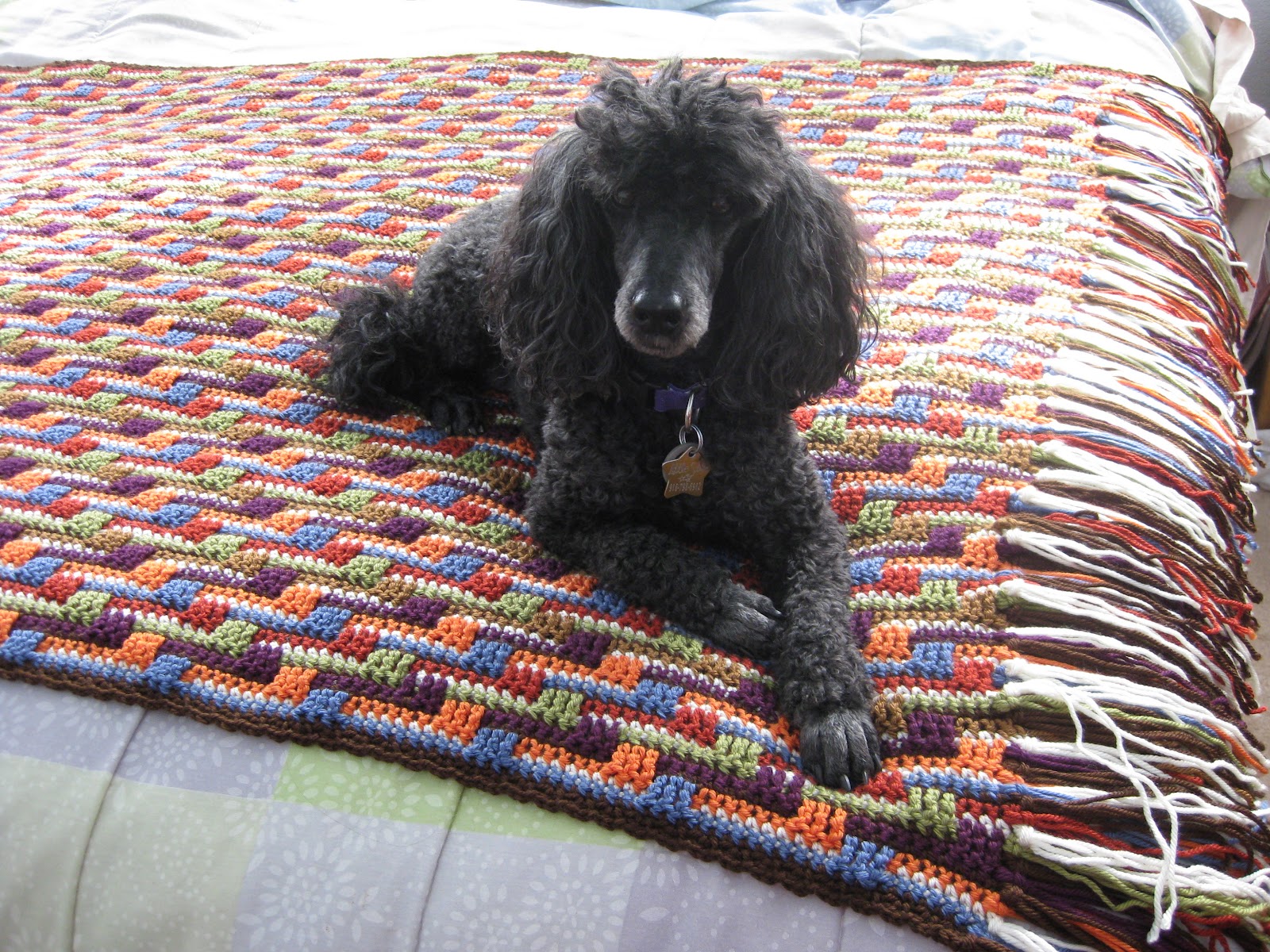 Inspired Resourceful Creative: Zingy Zig Zags is finally ...