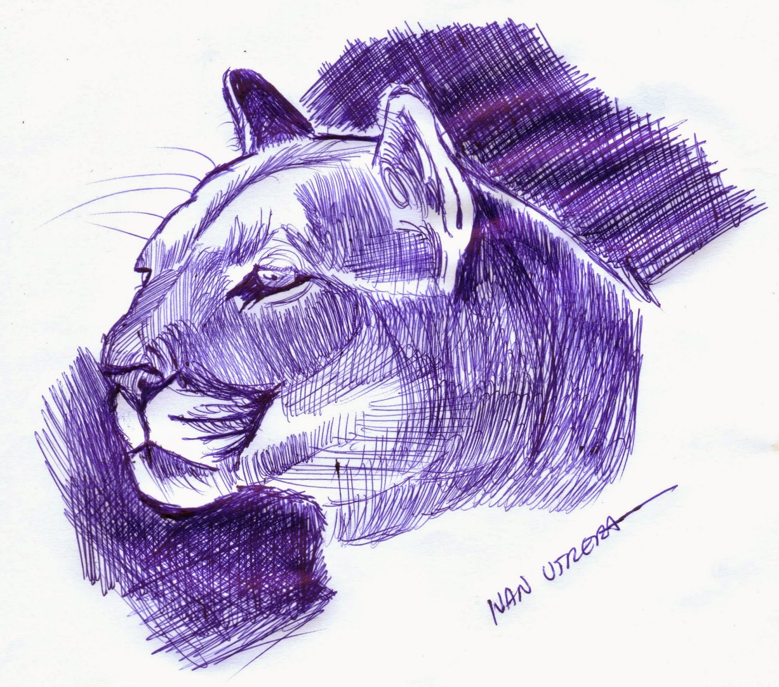 puma dibujo a lapiz