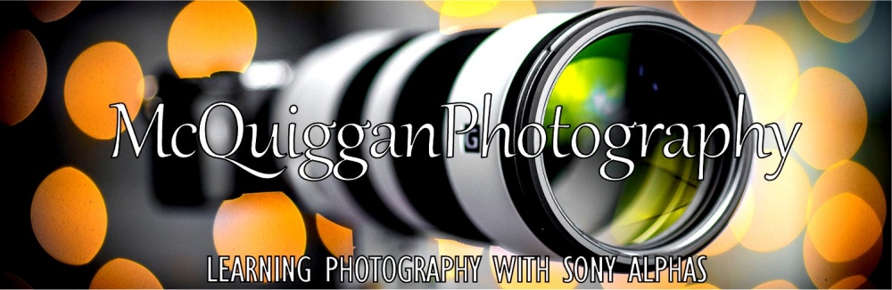 McQUIGGAN PHOTOGRAPHY