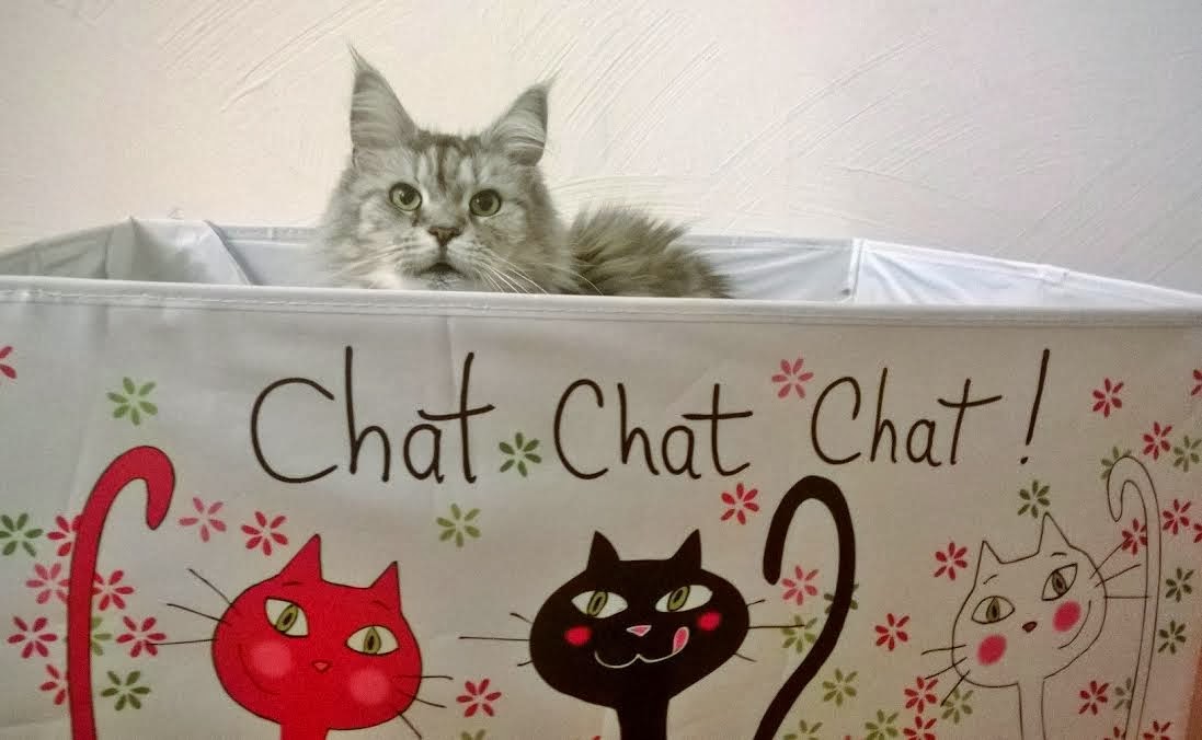 Tu Peux Pas Comprendre, T