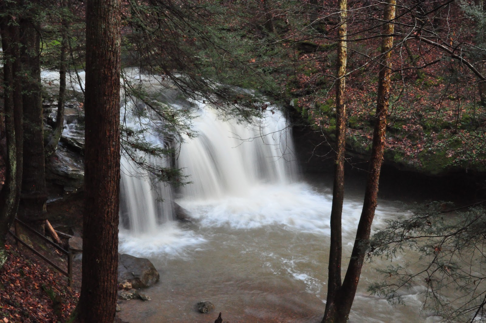DirtyChacos Frozen Head State Park