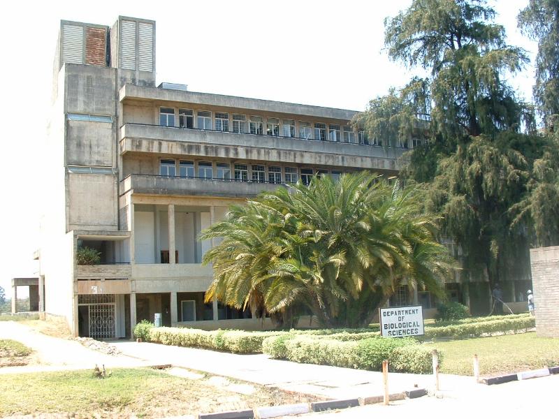 THE UNIVERSITY OF ZAMBIA