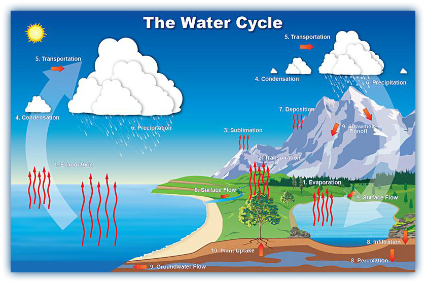 Water Cycle